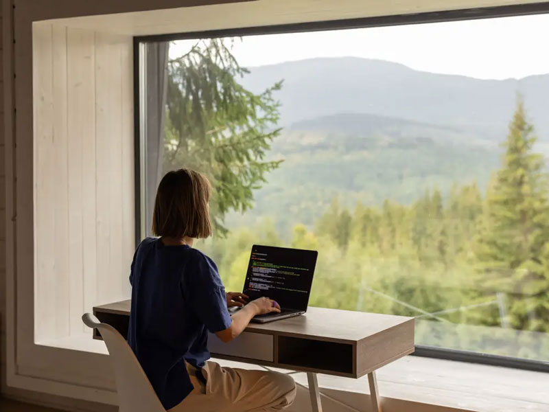 شرکت‌های دورکار